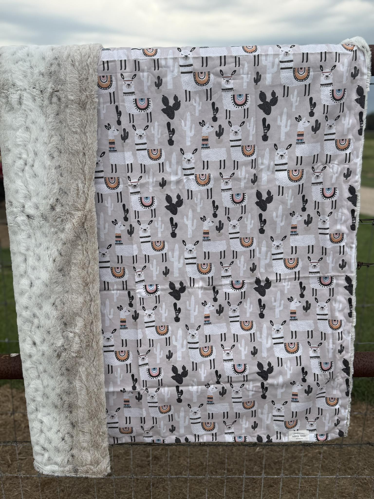 Llama